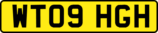WT09HGH