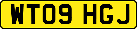 WT09HGJ