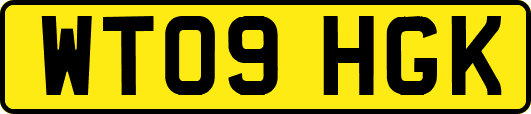 WT09HGK
