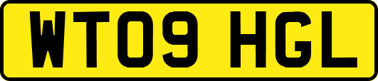 WT09HGL