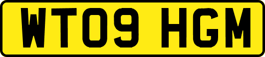 WT09HGM