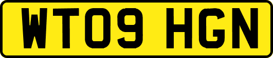 WT09HGN