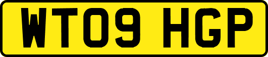 WT09HGP