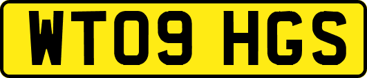 WT09HGS
