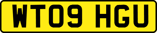 WT09HGU