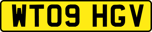 WT09HGV