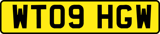 WT09HGW