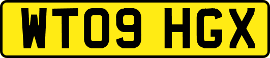 WT09HGX