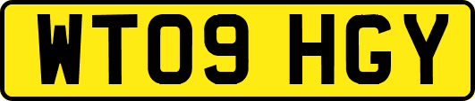 WT09HGY