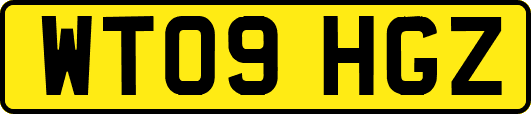 WT09HGZ