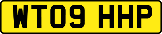 WT09HHP