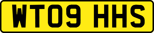 WT09HHS