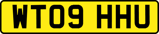 WT09HHU