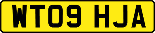 WT09HJA