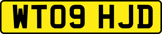 WT09HJD