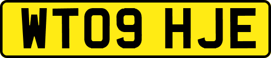 WT09HJE