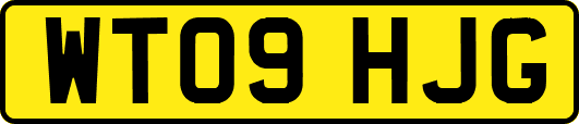 WT09HJG
