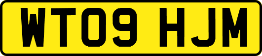 WT09HJM