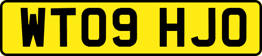 WT09HJO