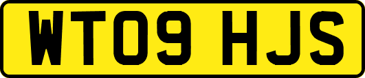 WT09HJS