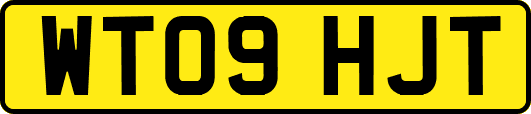 WT09HJT