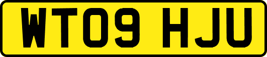 WT09HJU