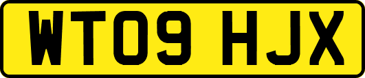 WT09HJX