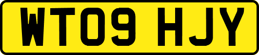 WT09HJY
