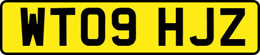 WT09HJZ