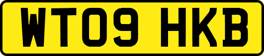 WT09HKB