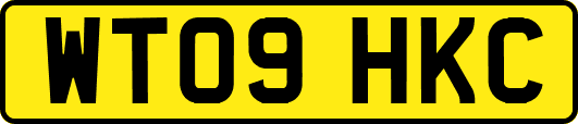 WT09HKC