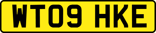 WT09HKE