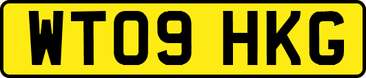 WT09HKG