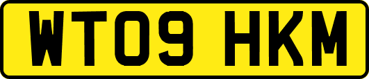 WT09HKM