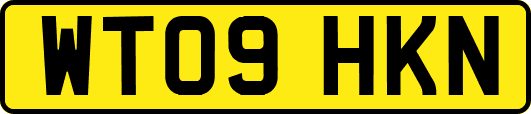 WT09HKN