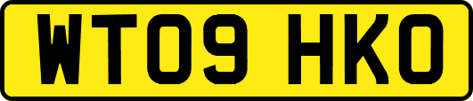 WT09HKO