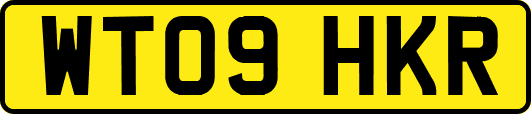 WT09HKR