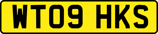 WT09HKS