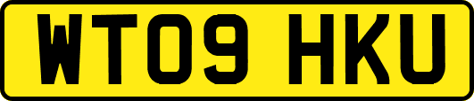 WT09HKU
