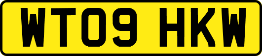 WT09HKW