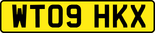 WT09HKX
