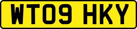 WT09HKY