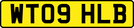 WT09HLB