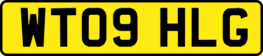 WT09HLG