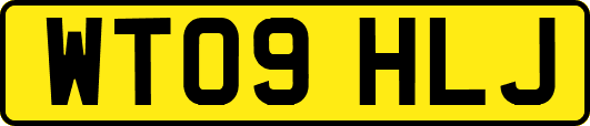 WT09HLJ