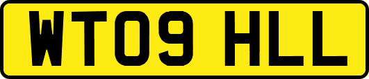 WT09HLL