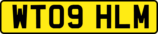 WT09HLM