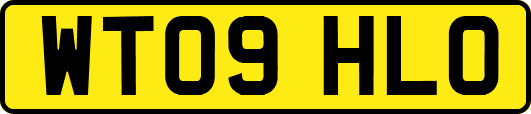 WT09HLO