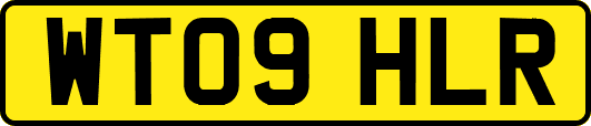 WT09HLR