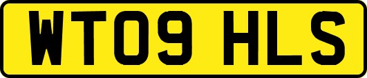WT09HLS